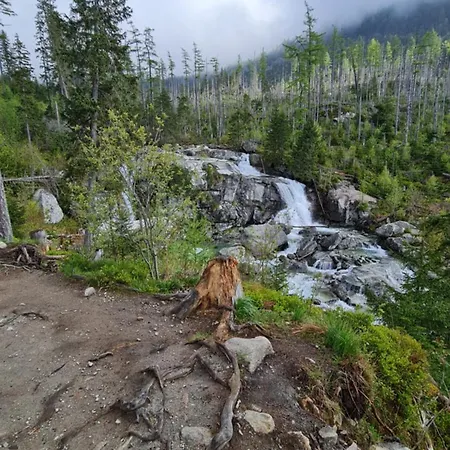 Casa de hóspedes Slovakia 3*