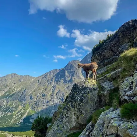 Slovakia 3* Ždiar